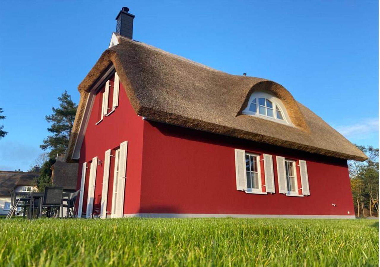 Modernes Reetdach-Ostseeferienhaus Bella Mare, Insel Usedom Mit Sauna, Kamin & Sonnenterrasse Zirchow Kültér fotó